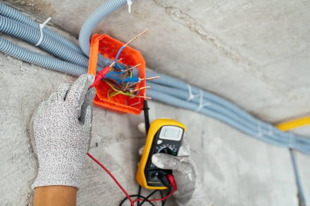 Best Electrical System Inspection  in Leadville North, CO